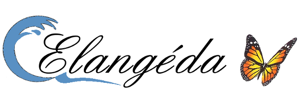 logo location Elangeda avec vague et papillon